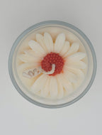 Daisy Bloom