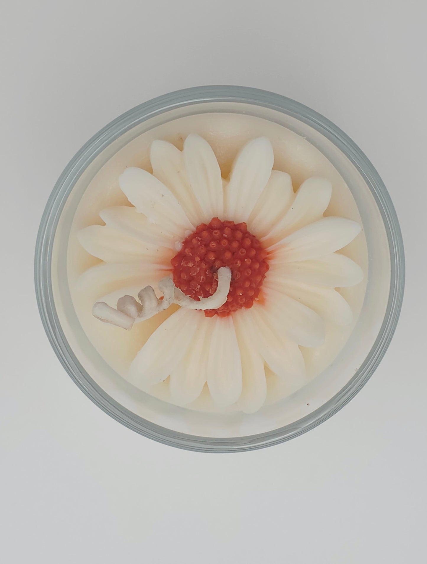 Daisy Bloom