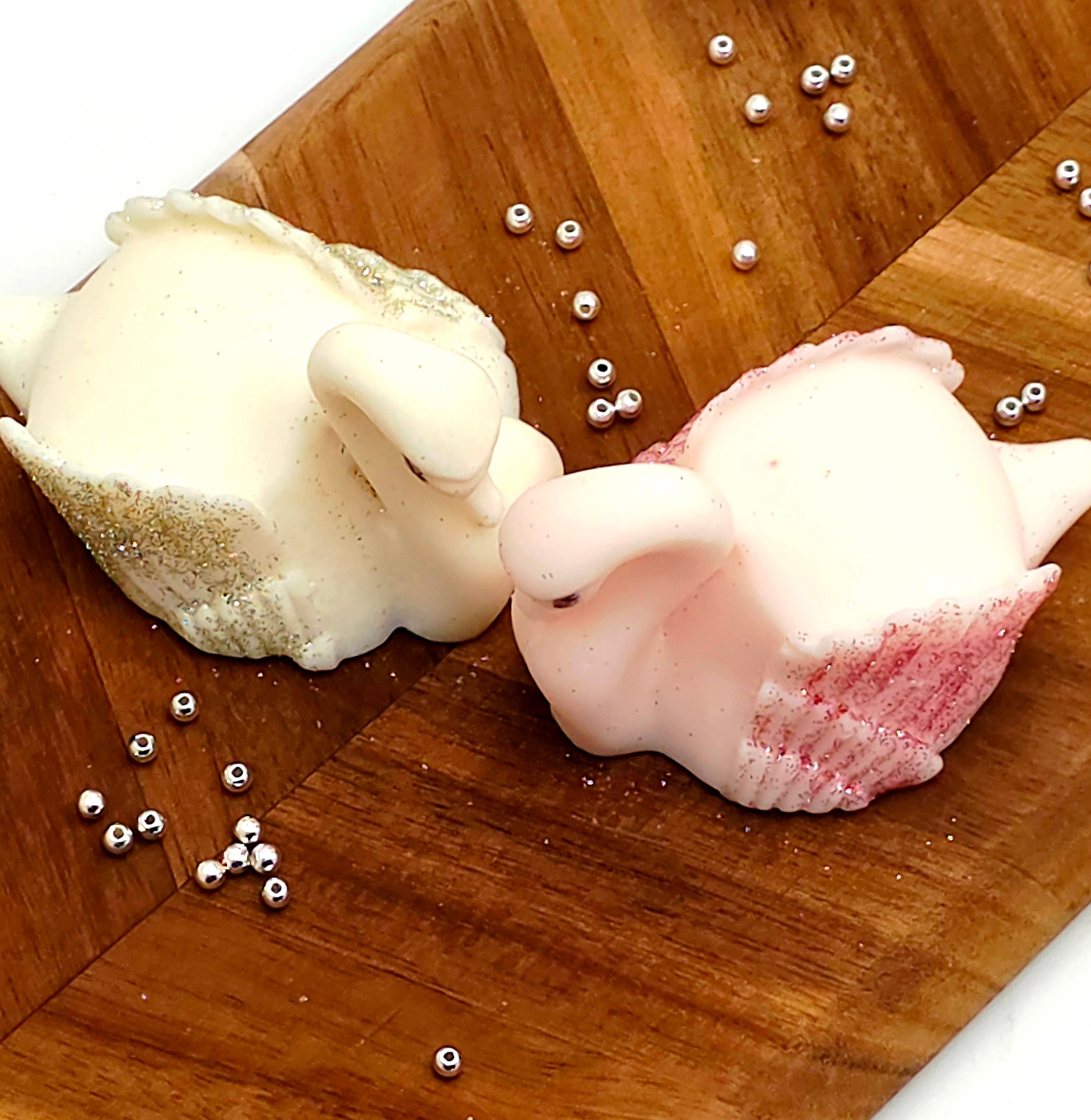 Swan’s Embrace : For You & Me