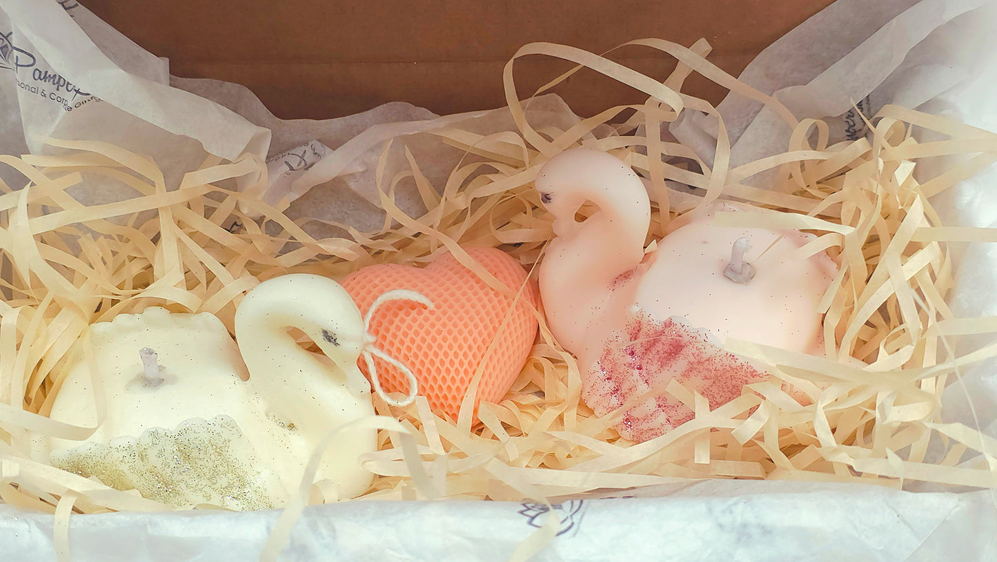 Swan’s Embrace : For You & Me