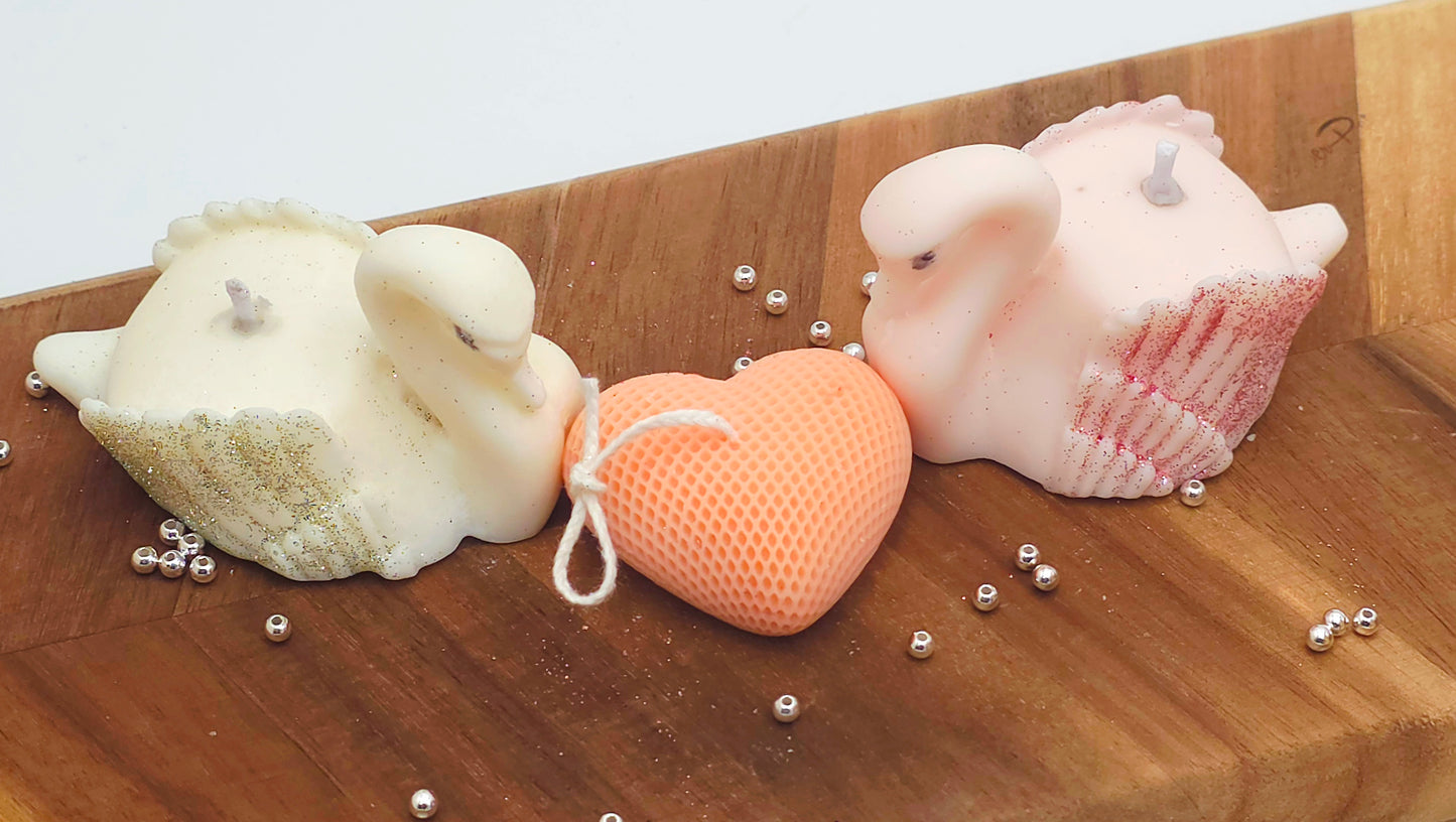 Swan’s Embrace : For You & Me