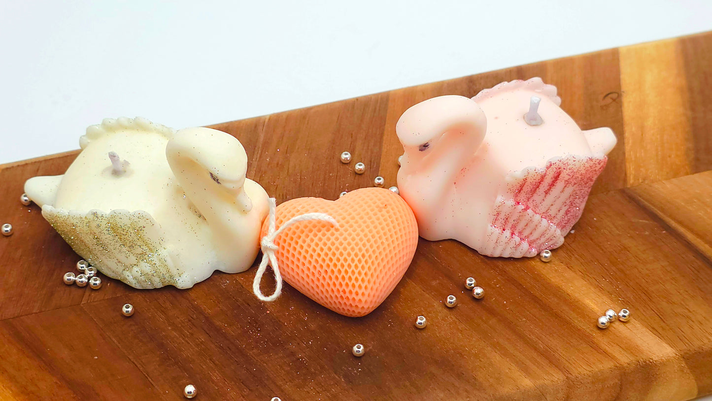 Swan’s Embrace : For You & Me